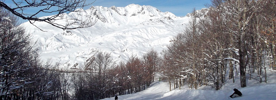 Alquiler y venta en Formigal