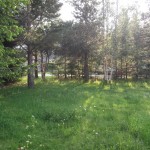 JARDIN LATERAL