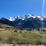 IMG_4595