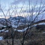IMG_E4275