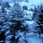 IMG-20220324-WA0002