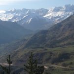 IMG_5897